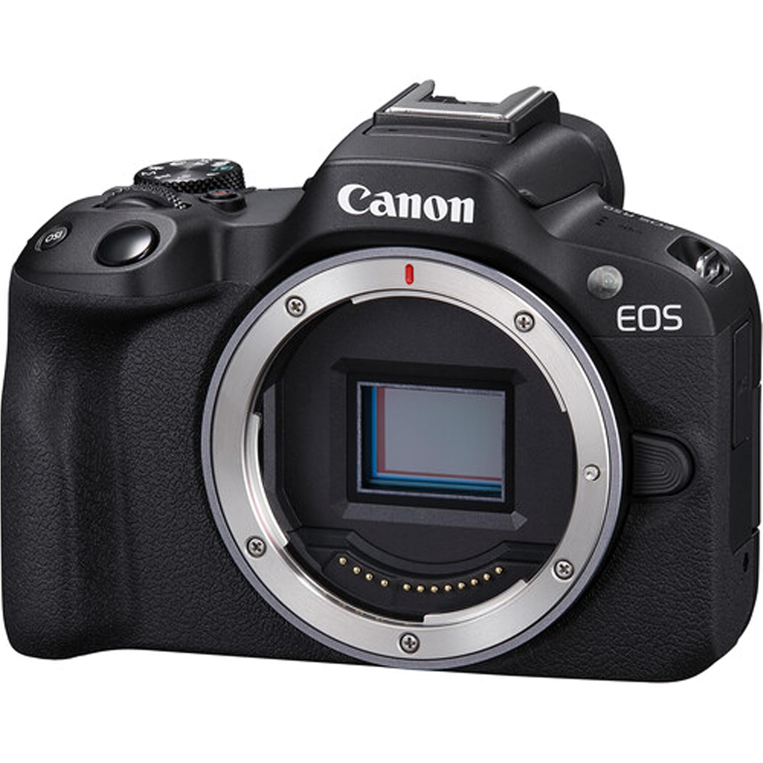 Canon EOS R50 ミラーレスカメラ RF-S 18-45mm CANON EOS R50 RF-S18-45 IS STM レンズキット [ホワイト] 価格
